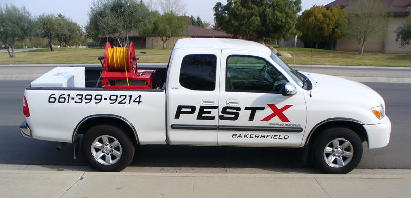 pest control Bakersfield, Pest X
